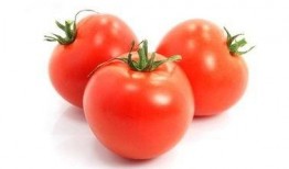 推文番茄吃瓜宝宝,趣味横生的亲子互动时光