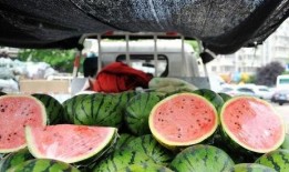 吃饭和吃瓜的区别,一窥饮食文化的别样风景