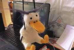 抓鸭子吃瓜,一场欢乐的乡村盛宴