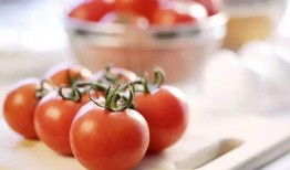 推文番茄吃瓜宝宝,趣味横生的亲子互动时光