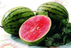 贝贝瓜和西瓜能一起吃吗,能否共食的探讨