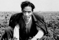 焦裕禄带孩子吃瓜,一段感人至深的吃瓜故事