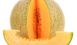 吃哈密瓜会使脸上出油吗,哈密瓜食用与脸部油脂分泌的关系解析