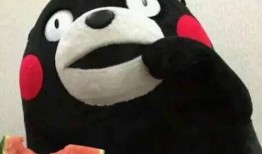 这个瓜我吃,揭秘“这个瓜我吃”背后的故事与真相