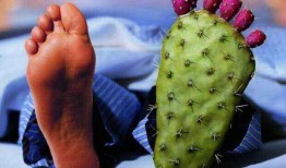 痛风可以吃角瓜吗,角瓜成为健康饮食新选择