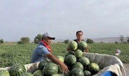 余江近期吃瓜,揭秘近期娱乐圈热点事件